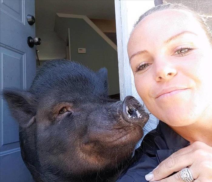 Pet Pig Selfie